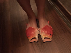 6_img_1987_2 6_img_1987_2