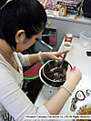 Photo_8
